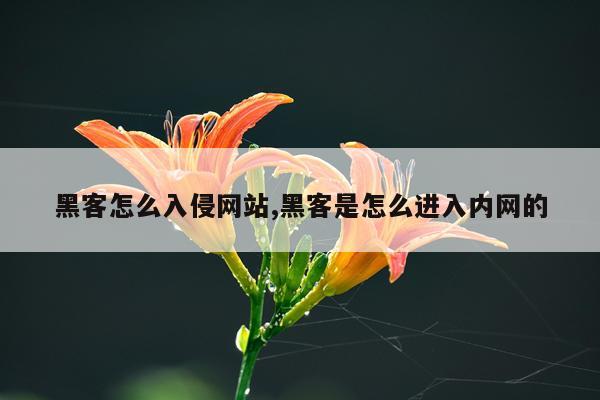 黑客怎么入侵网站,黑客是怎么进入内网的