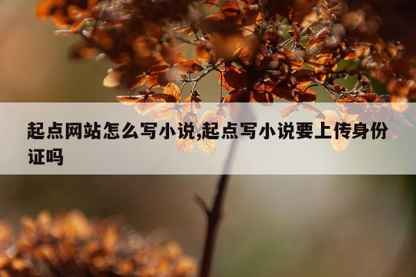 起点网站怎么写小说,起点写小说要上传身份证吗