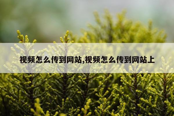 视频怎么传到网站,视频怎么传到网站上