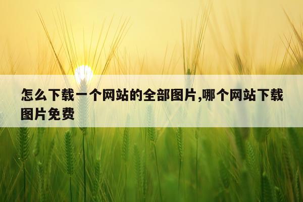 怎么下载一个网站的全部图片,哪个网站下载图片免费