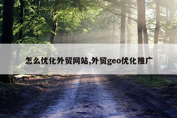 怎么优化外贸网站,外贸geo优化推广