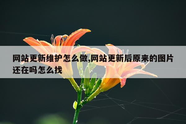 网站更新维护怎么做,网站更新后原来的图片还在吗怎么找