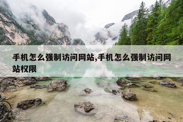 手机怎么强制访问网站,手机怎么强制访问网站权限