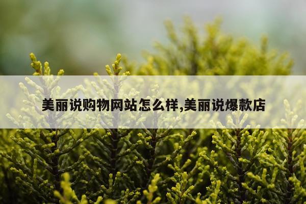 美丽说购物网站怎么样,美丽说爆款店