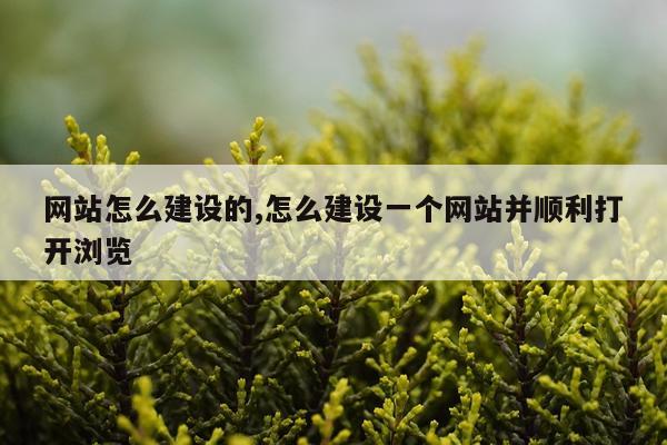 网站怎么建设的,怎么建设一个网站并顺利打开浏览