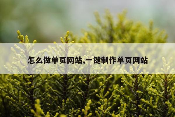 怎么做单页网站,一键制作单页网站