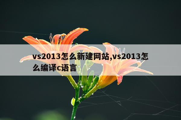 vs2013怎么新建网站,vs2013怎么编译c语言