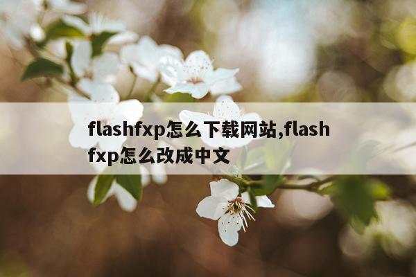 flashfxp怎么下载网站,flashfxp怎么改成中文