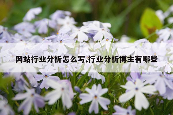 网站行业分析怎么写,行业分析博主有哪些