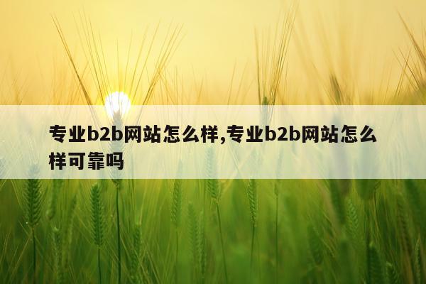专业b2b网站怎么样,专业b2b网站怎么样可靠吗
