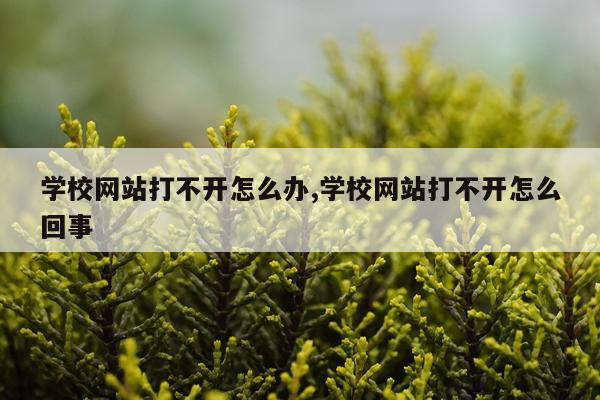 学校网站打不开怎么办,学校网站打不开怎么回事