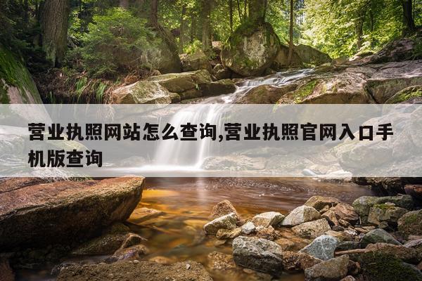 营业执照网站怎么查询,营业执照官网入口手机版查询
