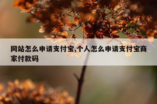 网站怎么申请支付宝,个人怎么申请支付宝商家付款码
