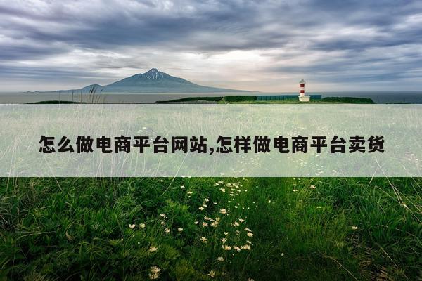 怎么做电商平台网站,怎样做电商平台卖货
