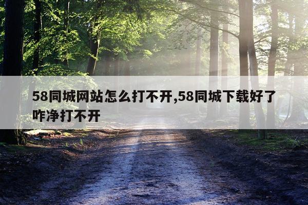 58同城网站怎么打不开,58同城下载好了咋净打不开
