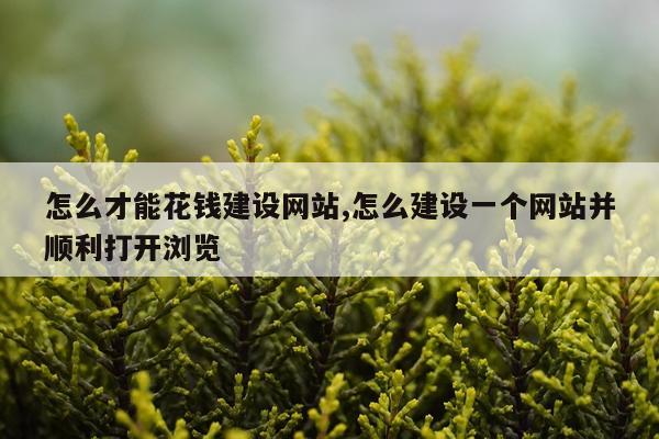 怎么才能花钱建设网站,怎么建设一个网站并顺利打开浏览